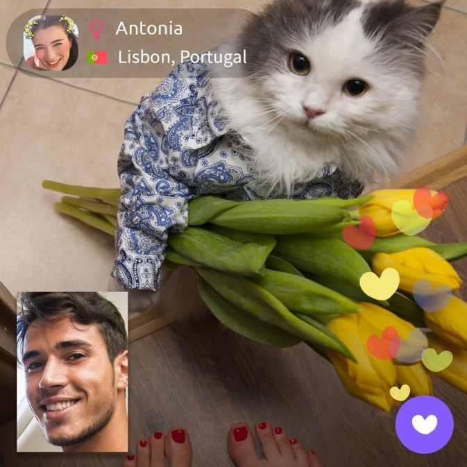 bermuda video chat apk